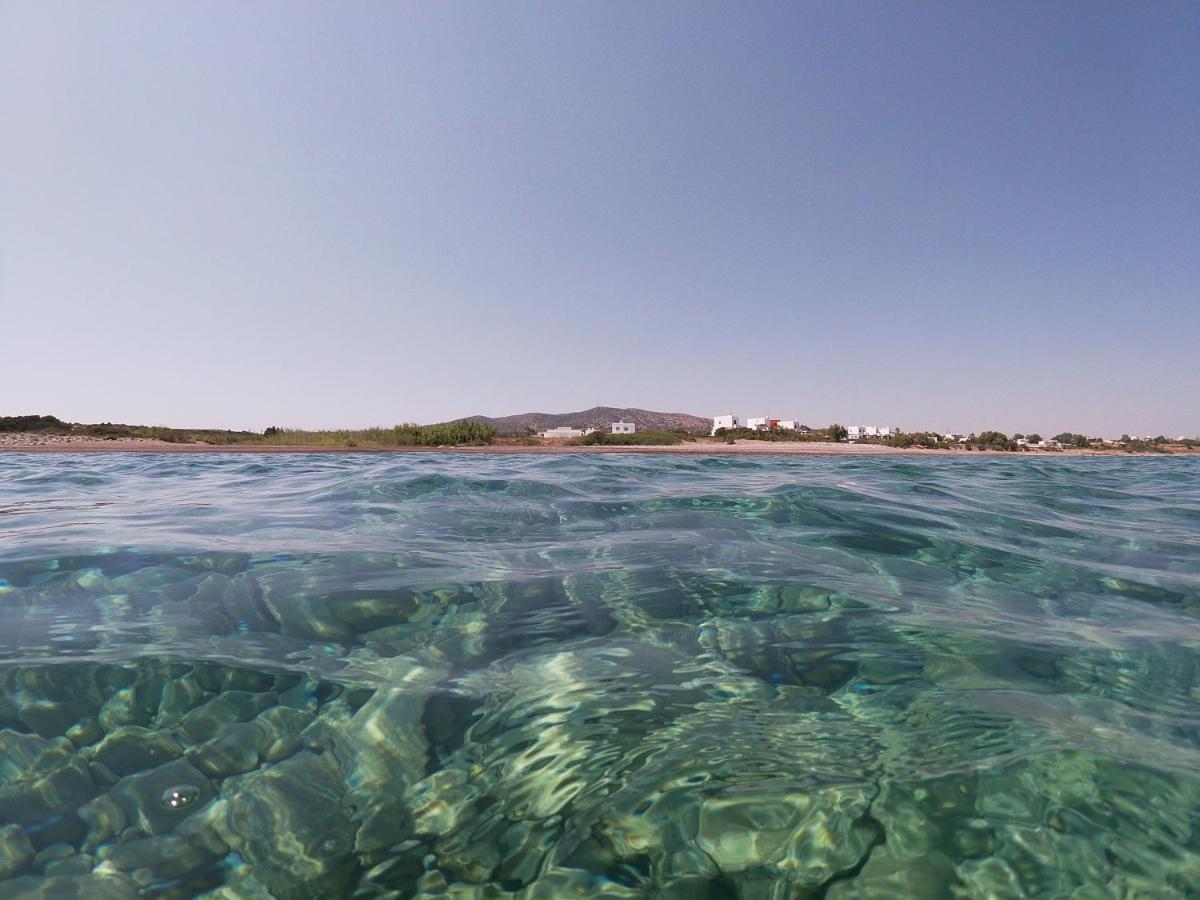 Seashore Beachfront Villa Lachaniá Buitenkant foto